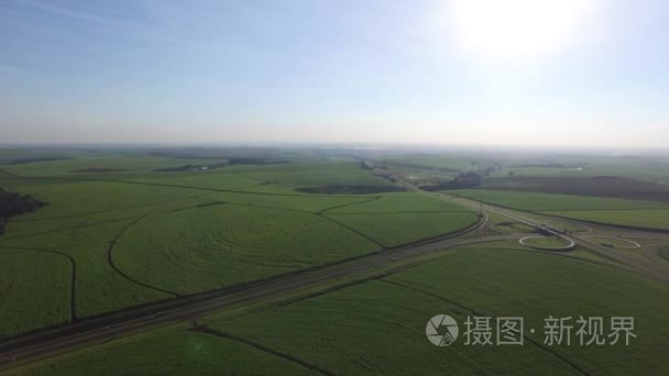 空中的蔗田在巴西里贝朗普雷图视频