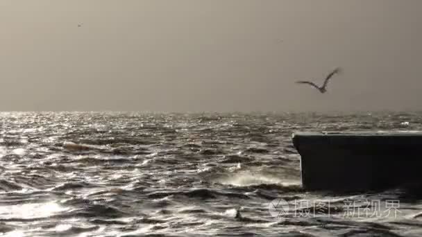 海边度假与自然观视频