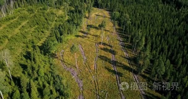 森林砍伐面积从鸟的眼睛视频