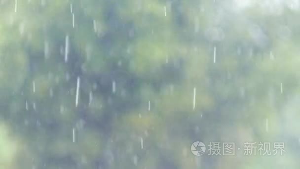 不断在森林雨季的大雨滴