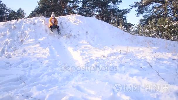 十几岁的女孩，从一座小山在冬天雪公园，玩一个漂亮的女孩，阳光明媚的冬日白雪覆盖的森林中一只狗拉雪橇