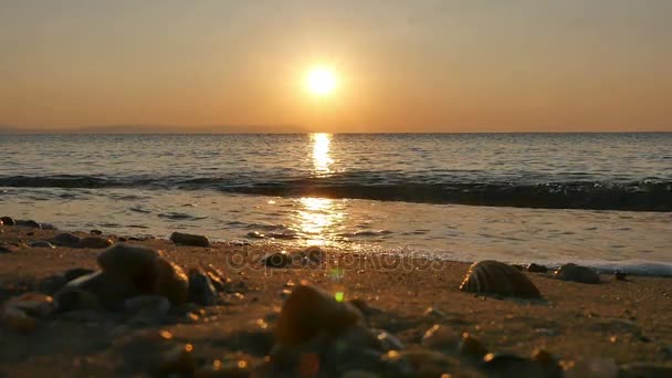 石波海岸视频素材模板大全 新视界石波海岸实拍视频素材库