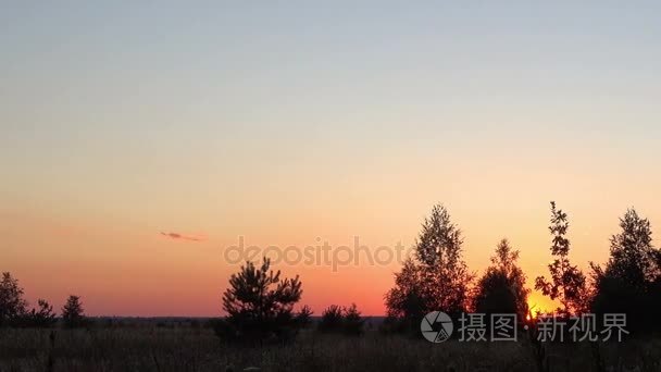 夕阳的背景树的剪影视频