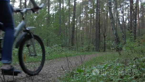 自行车骑自行车穿过森林在秋日的后视图