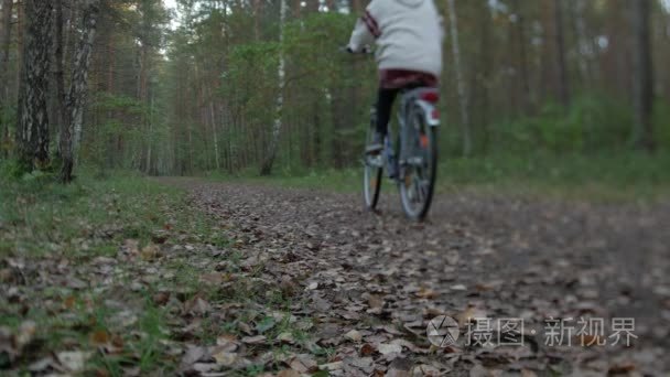 自行车骑自行车穿过森林在秋日的后视图