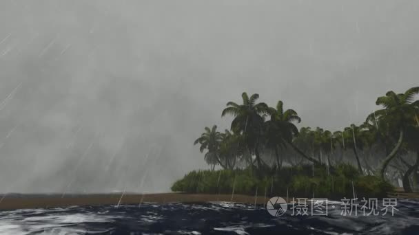 暴风雨的天气与棕榈树