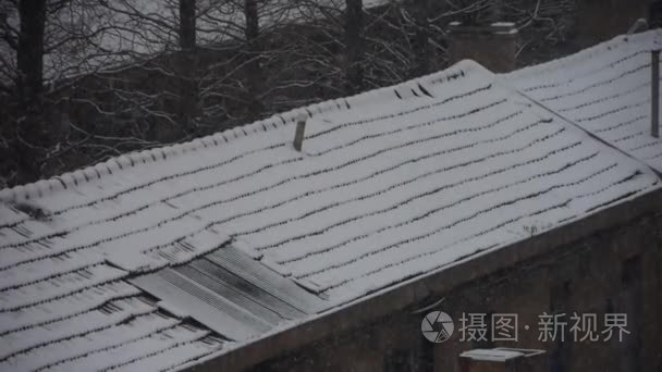 飘落的雪花，雪盖房子屋顶