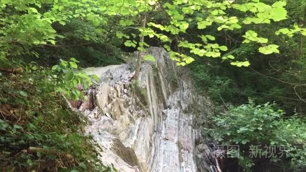 山崖岩树自然美景观慢动作视频视频