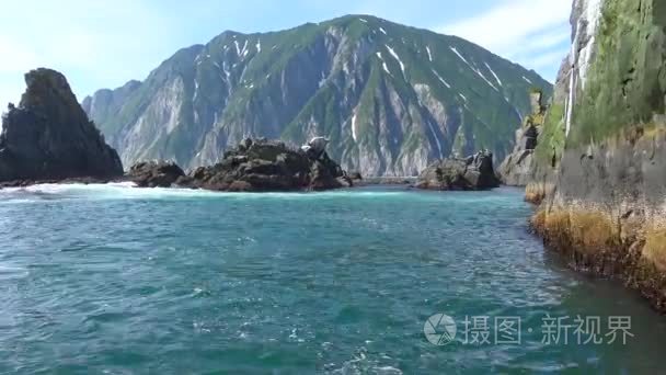 海野生动物园之旅沿堪察加半岛。俄罗斯视频