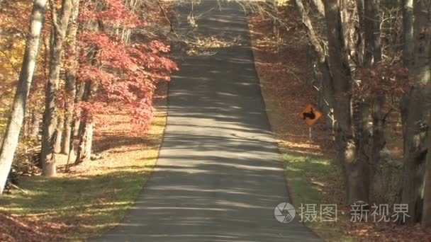 高清农场农村秋季乡村路视频