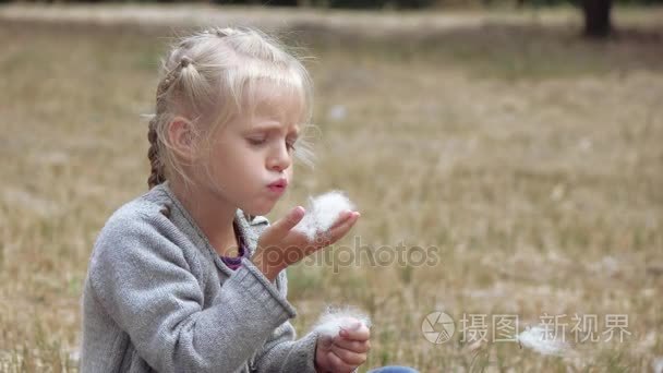 女孩子吹的芦苇的绒毛视频