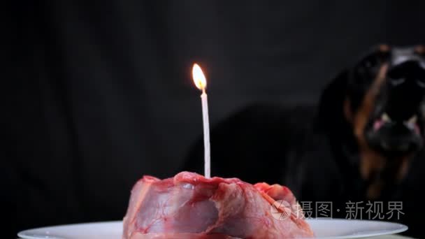 狗吠吹灭蜡烛在庆祝生日节日肉视频