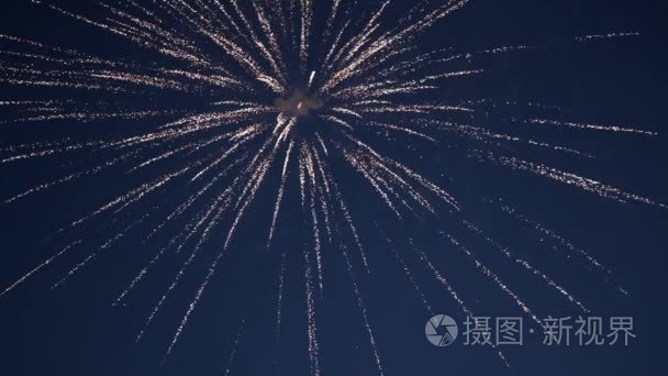 烟花在夜空视频