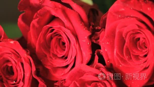 湿红玫瑰花瓣合上视频