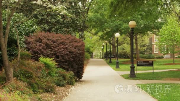 大学校园的林荫小径视频
