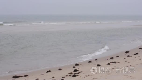 在多雨的秋天天北海海岸视频