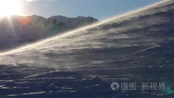 收割机采集草并将其倒入拖拉机拖车高空俯视视频