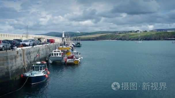 船只停泊的港口与海鸥俯冲周围视频