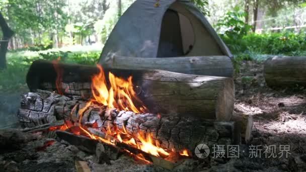 在一顶帐篷露营篝火烧伤和日志在森林里。慢动作