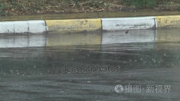 雨滴落入水坑视频