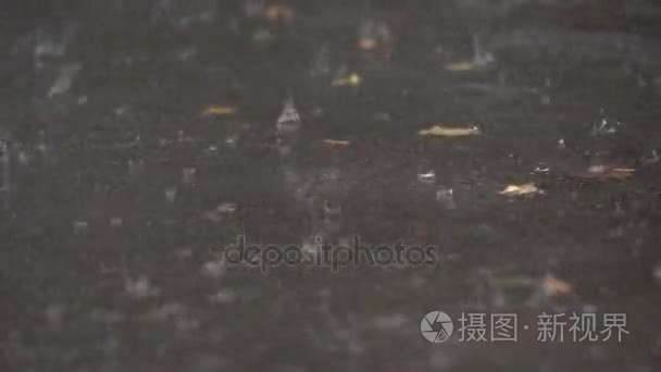 雨滴落入水坑视频