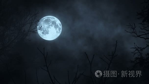 月亮月光。月亮的夜空。神秘幽灵般可怕。树树剪影的影子。自然背景