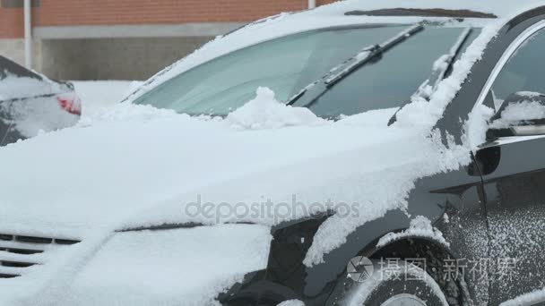 雪从人清洗车视频