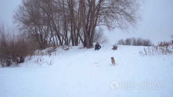 狗玩它的主人在冬天雪幻灯片上视频