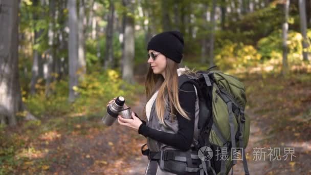 在木材中旅游浇注茶视频