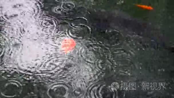 从雨在水面上的涟漪视频