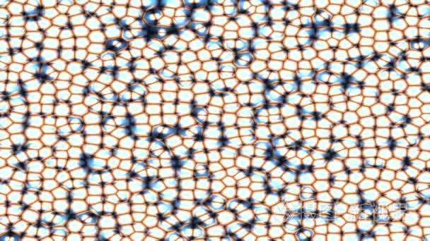 在显微镜下面的细菌视频