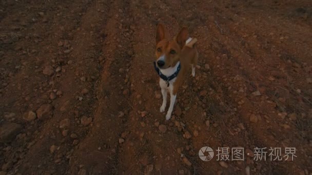 在小日本范山旅游视频