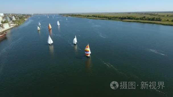 空中拍摄的帆船赛  许多游艇在 Dnipro 在夏季