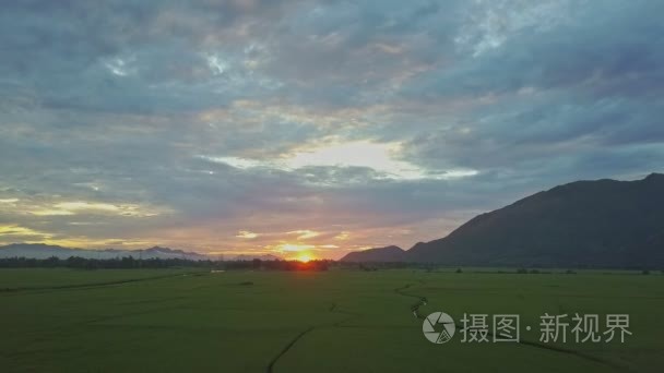 日出越南村落附近的稻田视频