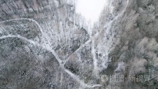 在白雪皑皑的丛林树林开销空中无人机飞行制订。在山自然户外的冬天雪。直下视角旅行探索阿尔卑斯山。4 k 顶视图视频