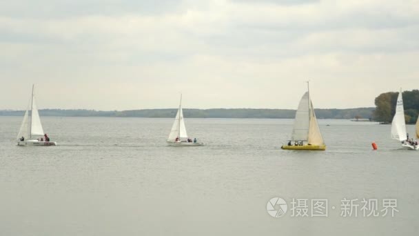 帆船和游艇在湖面上赛跑视频