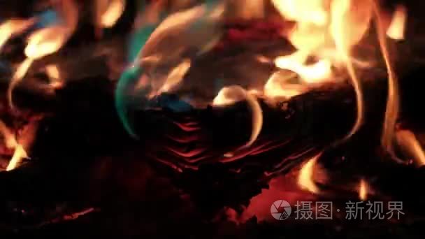 书在火中燃烧视频
