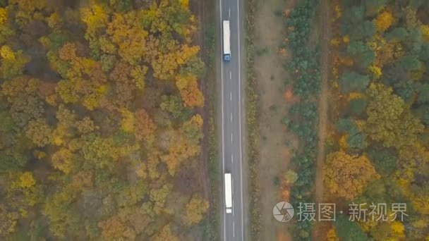 一辆卡车的鸟瞰图和其他车辆沿着秋天森林的道路行驶视频