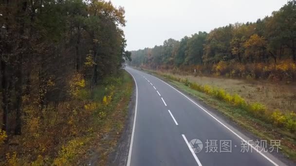 空中观车在被秋林包围的道路上视频