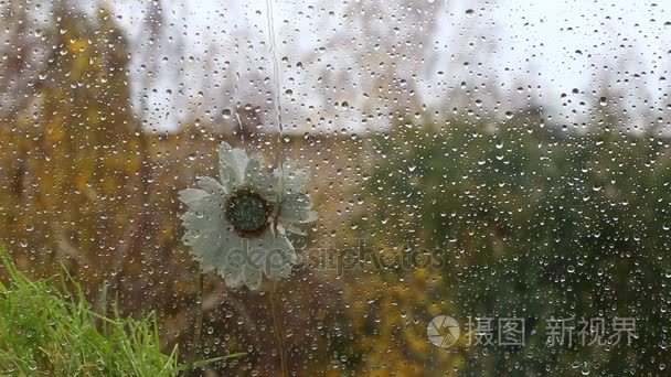 雨天和寒冷的天气和冬天的来临视频