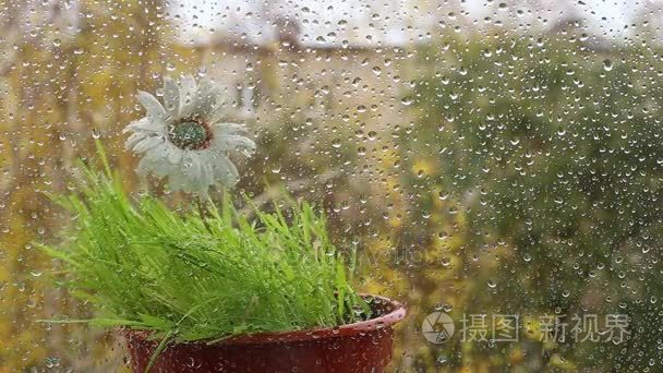 雨天和寒冷的天气和冬天的来临视频