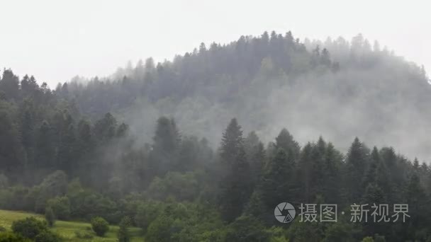 山地森林景观时间推移的雾雨视频