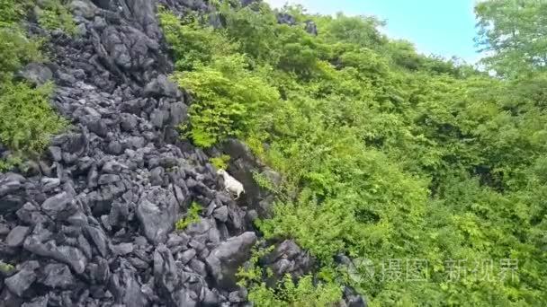 山上登山视频