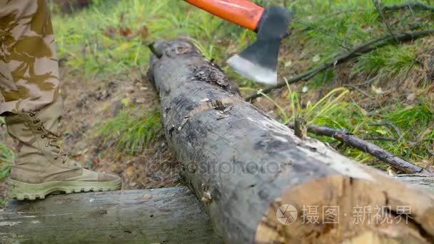 伐木工人汉斯用斧头砍木头视频