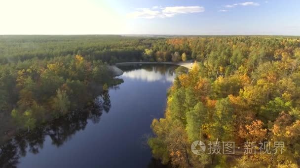 鸟瞰秋天的颜色树梢飞过秋天的风景