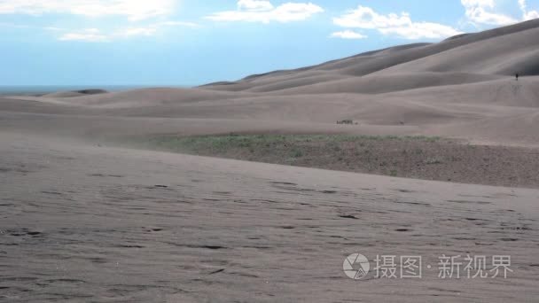 沙丘草在风中吹