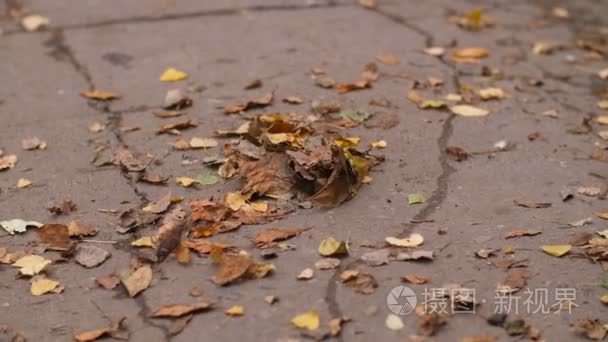 清扫肮脏的道路从垃圾视频