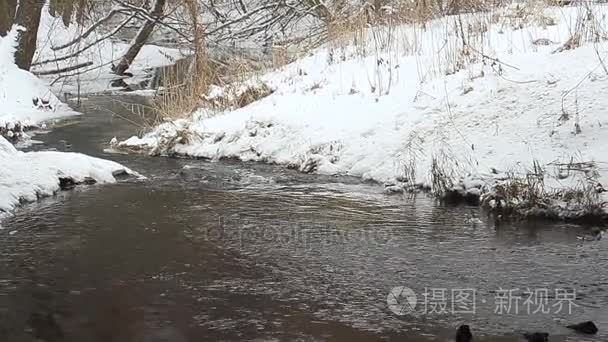 雪公园里流淌的溪流视频