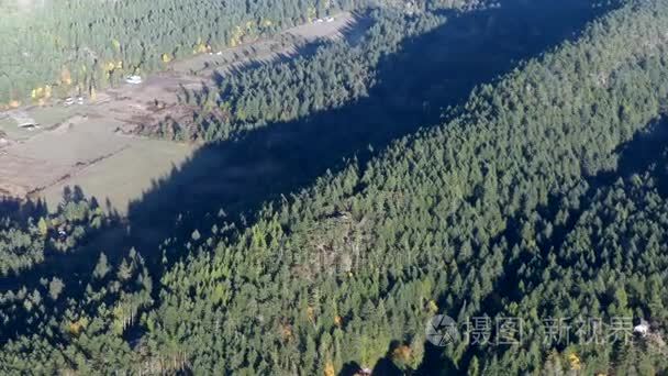 空中飞行在福雷斯特领域北美洲视频