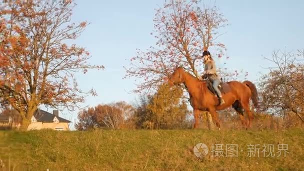 在乡下骑马的年轻女子。马术运动